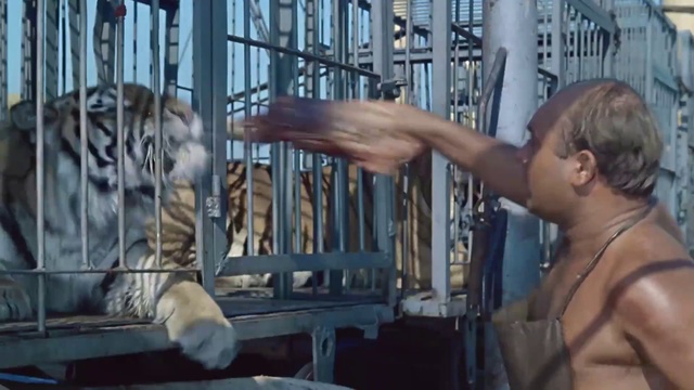 02.Шулейкин кормит тигров смотреть онлайн