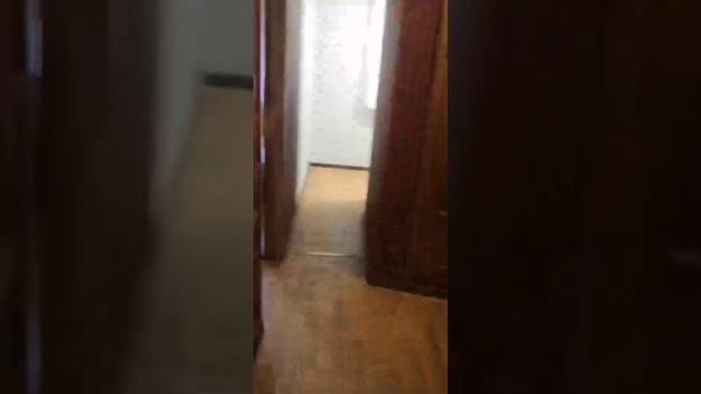 Сергиев Посад, ул. Дружбы смотреть онлайн
