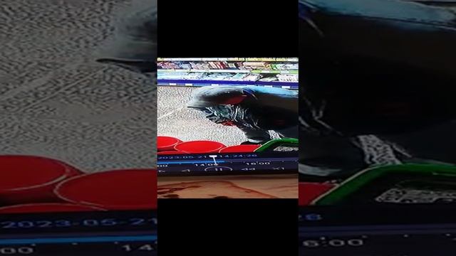 Долго гулял хотел вынести товар