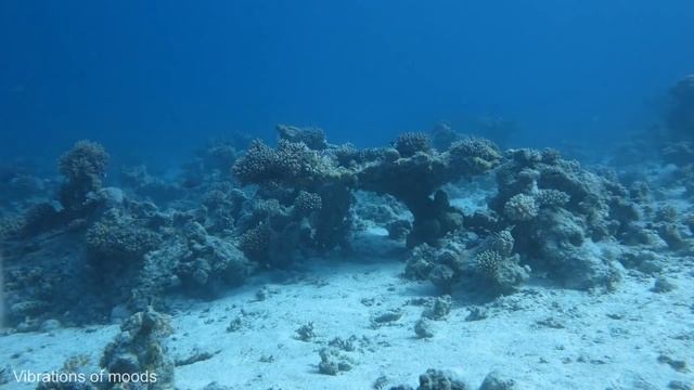 Музыка глубокого сна.. Морской релакс. смотреть онлайн