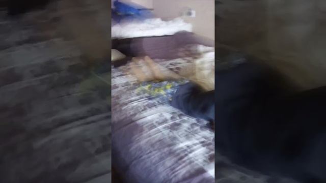Хороший день смотреть онлайн