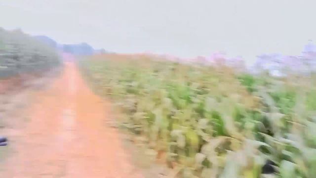 Hum Par muft ka ilzaam Laga Diya ????