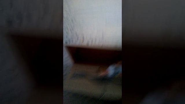 Максим Истомин смотреть онлайн