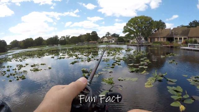 Epic Double Bass Catch!!! Fall Fishing Ep. 2 Fishing With Friends смотреть онлайн