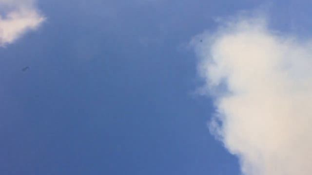 Pumpkin Chunkin' Malfunction смотреть онлайн
