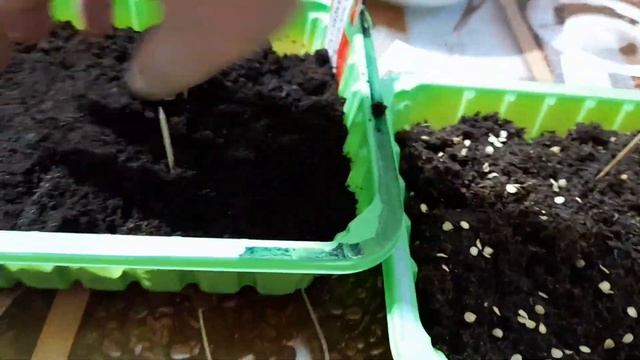 #РукоделиеотГалины Сезон посадок открыт. Посадила перец, баклажаны, огурцы. смотреть онлайн