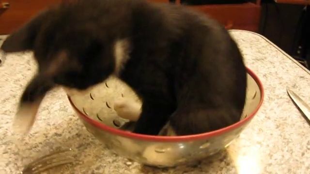 Салат Марсель :) смотреть онлайн