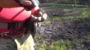 Коп в лесу. Нашли дорогие монеты постоялого двора. Кладоискатель Руся.