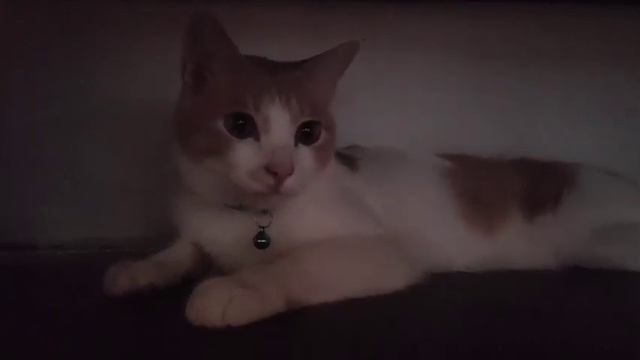 TERPESONA aku terpersona by Milkey смотреть онлайн