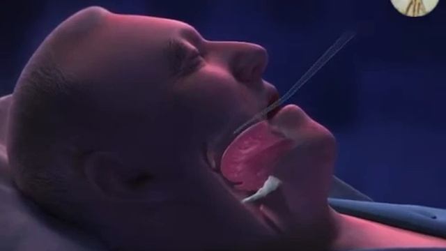 Каждый пятый человек после 30 лет храпит во сне смотреть онлайн