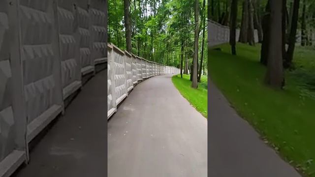 Объединение кошачьих