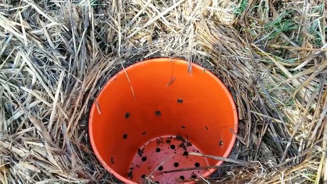 Лучший компостер для города смотреть онлайн