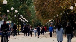 Арест имущества должника по алиментам! Порядок наложения ареста и какое имущество могут арестовать!