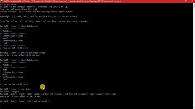 LEARN HOW TO DOWNLOAD INSTALL AND USE MariaDB || HINDI || BY iTeaches смотреть онлайн