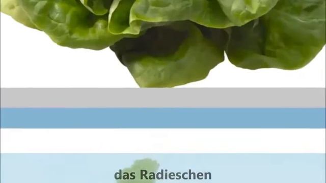 Wortschatz .Простые слова на немецком.#овощи