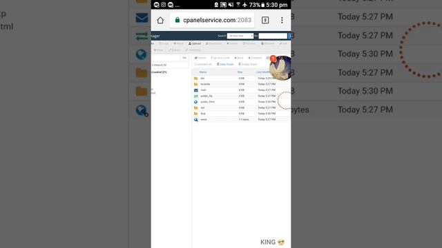 How to create cookie bot simple method new host with Cpanel смотреть онлайн