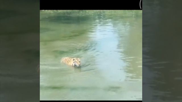 9 июля 2023 г. смотреть онлайн