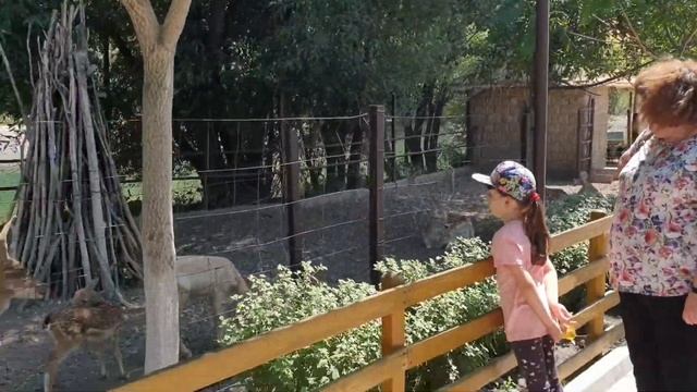 Центр отдыха "Гавайи" в городе Токмок??. смотреть онлайн