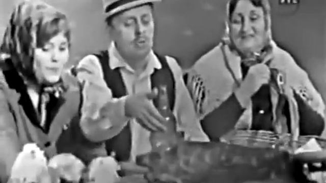 Don Gvozden na televiziji смотреть онлайн