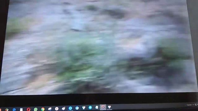 Каньон Сападере смотреть онлайн
