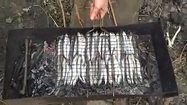 Мойва: как правильно готовить смотреть онлайн