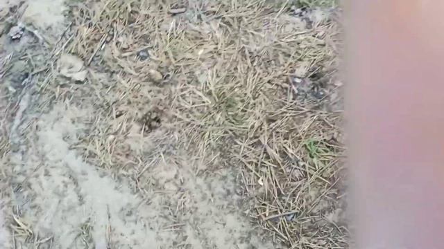 Рыба на костре, рыба на углях смотреть онлайн