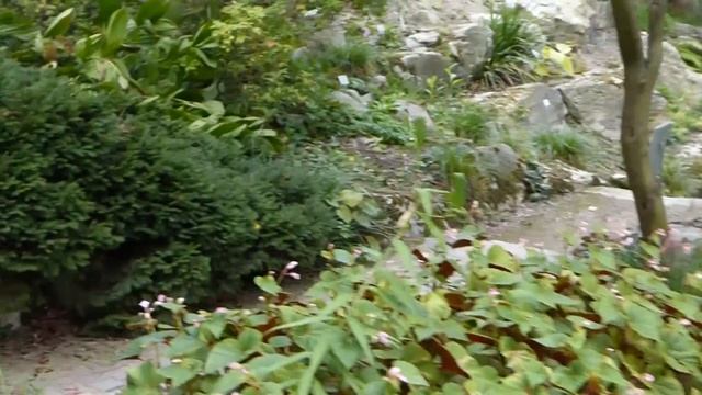 Достопримечательности Германии. Palmengarden. Франкфурт 2018 смотреть онлайн