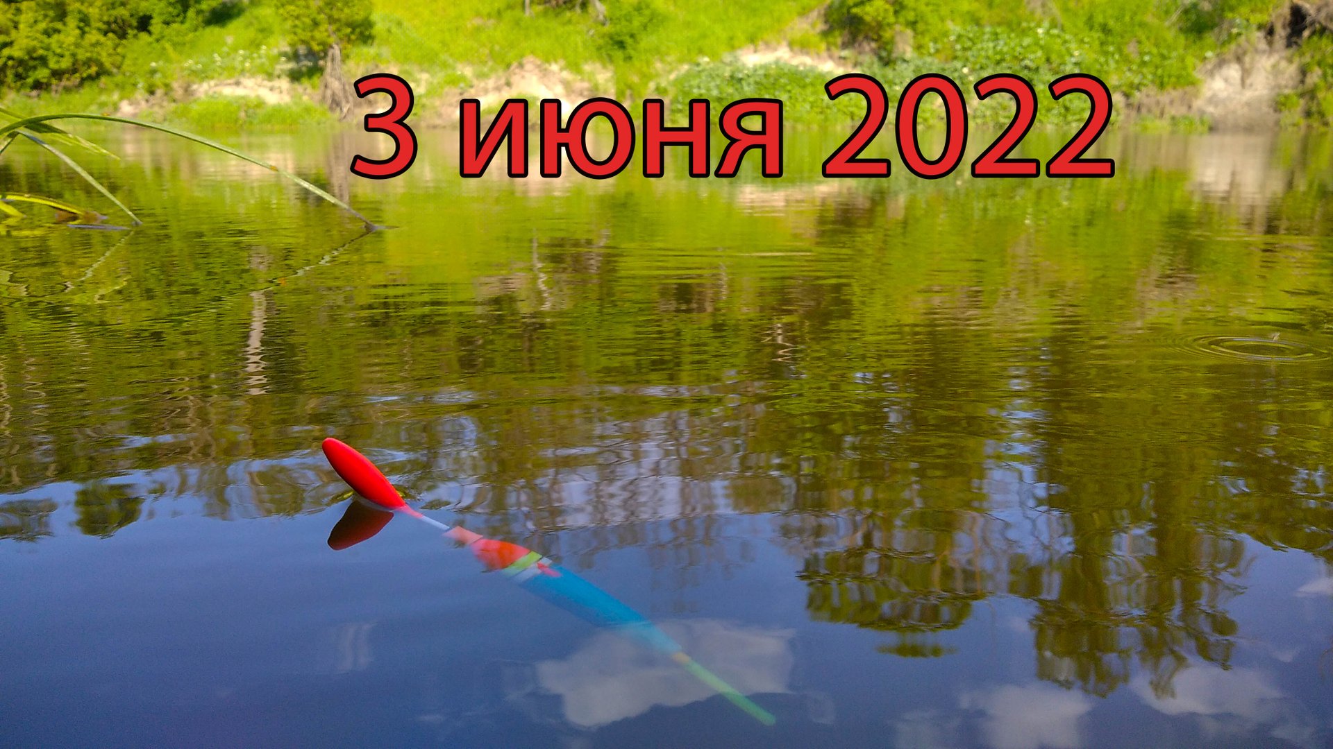 Рыбалка на поплавок 3 июня 2022 смотреть онлайн