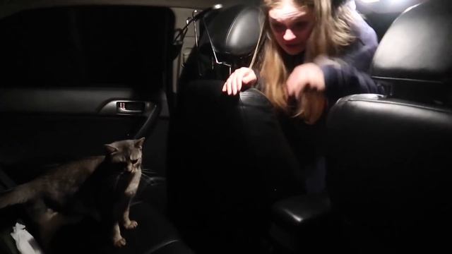 НОЧЬ С КОТОМ В МАШИНЕ! НАС ЗАПЕР ЗЛОЙ КЛОУН НА 13 ЧАСОВ... смотреть онлайн