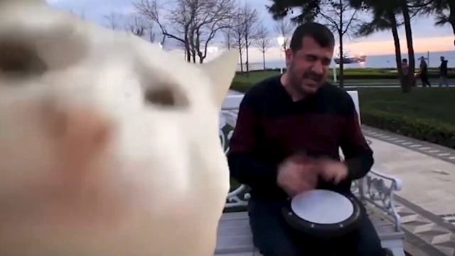 If IEVAN POLKKA [Vibing Cat] was an EPIC ORCHESTRAL song... смотреть онлайн