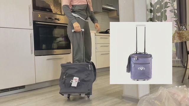 Чемодан трансформер ПОБЕДА, обзор. Полет на авиакомпании победа смотреть онлайн