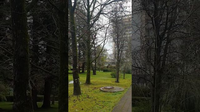 Адлер, дельфин смотреть онлайн