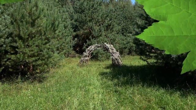 Оформление свадебной фотозоны в лесу. смотреть онлайн