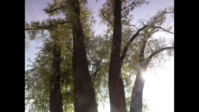 МНЕ Ж ЦЫГАНКА НАГАДАЛА - A gypsy told me - Екатерина Афанасьева - Eketerina Afanaseva смотреть онлайн