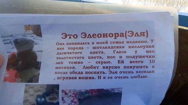 рассказ про 1-го моего животного смотреть онлайн