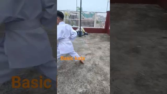 kihon kata' taikyuko shodan #karate #martialart #karatelife #syllabus #karatedo #karatespirit смотреть онлайн