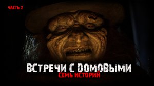 Реальные встречи с домовыми (7в1) Выпуск №2.