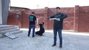 Polysafe Прозрачные решетки на окна для безопасности всей семьи