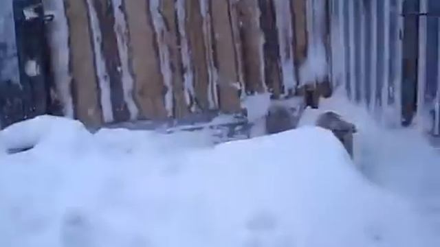 Вот такая погода в Копейске 25 04 2014 смотреть онлайн