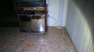 Вызываем пьяного ёжика! Духа ёжика#