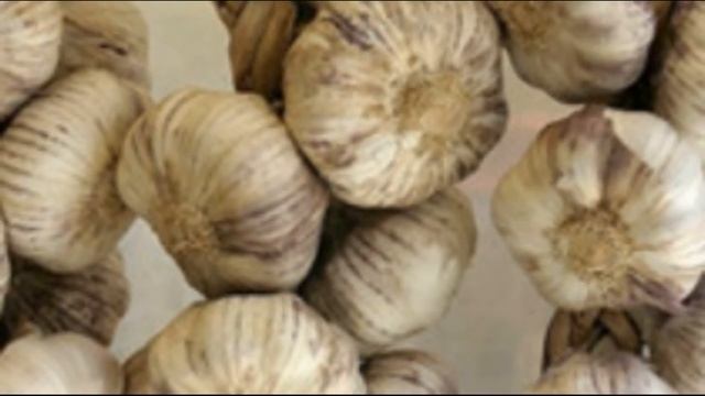 Чеснок рокамболь выращивание уход