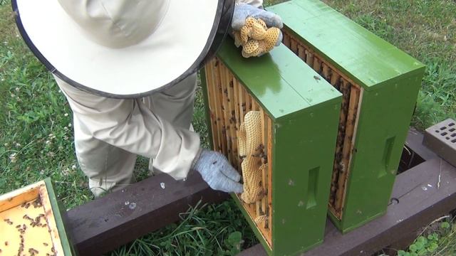 А будет ли МËД? Жара +32С. Медосбор под угрозой. смотреть онлайн