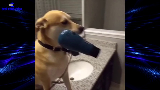 Best COUB. Подборка недели #4 смотреть онлайн