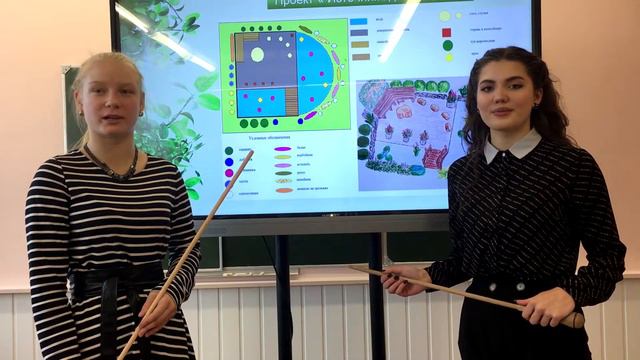 профессиональная деятельность