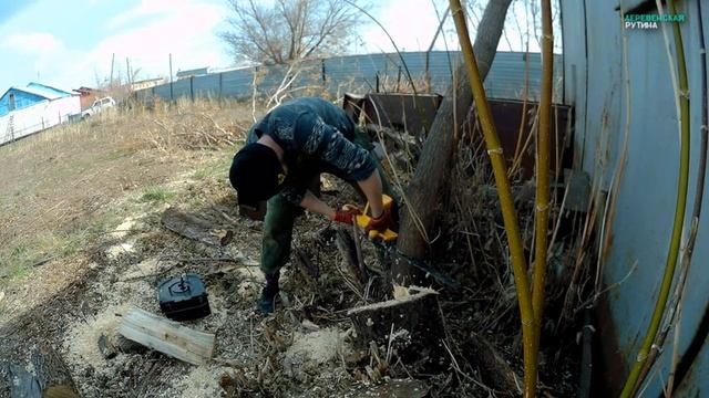 ВЕРБНОЕ ВОСКРЕСЕНЬЕ, Спиливаем деревья у соседки,Первое испытание Теплицы!!! смотреть онлайн