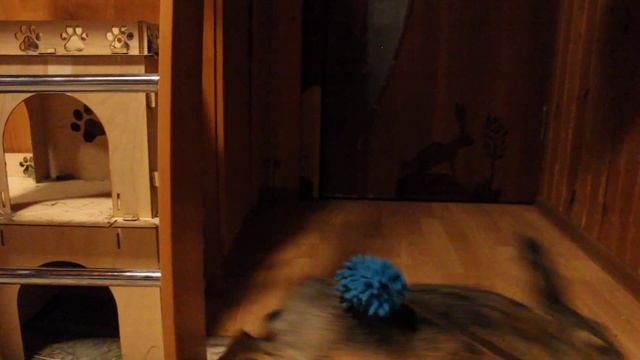 У вас зарядка утром? А у зайцев - вечером! смотреть онлайн