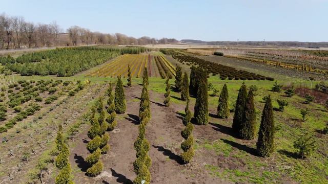 PlantaSfera смотреть онлайн