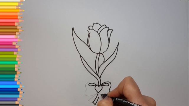 Рисуем Тюльпан к 8 Марта. Рисунки для срисовки. смотреть онлайн