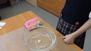 Опыт №6. Зубочистки