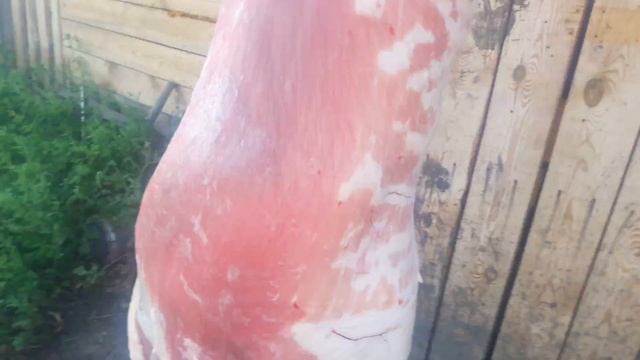 курдючная баранина дорогие мои подписчики Ставьте лайк пишите свои интересные на комментариях смотреть онлайн